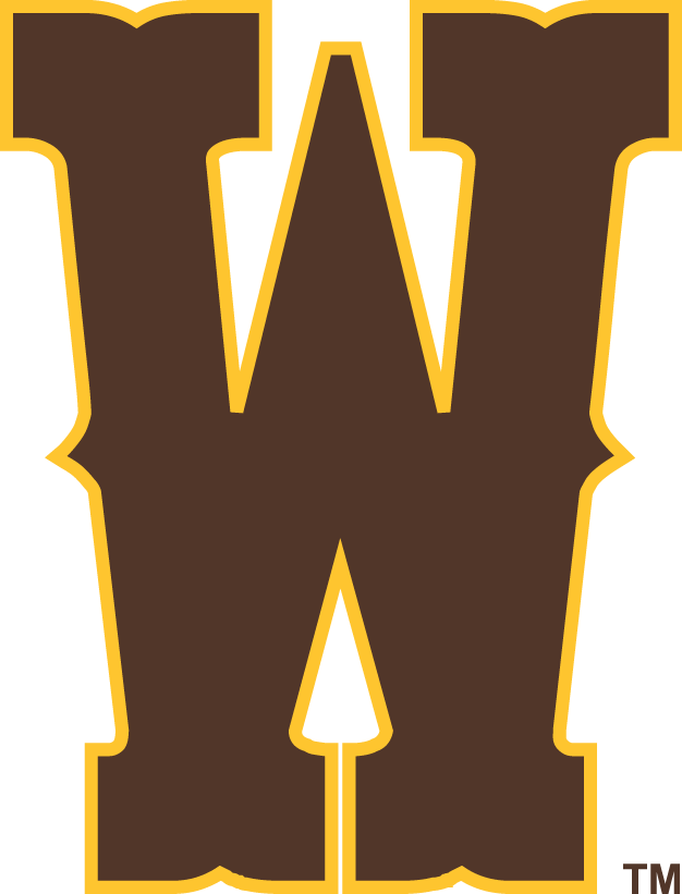 Wyoming Cowboys 2013-Pres Secondary Logo diy DTF decal sticker